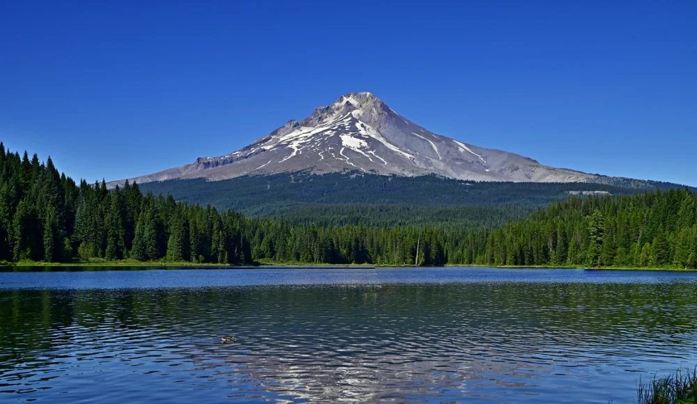 How to Sell Inherited Land in Oregon land guide