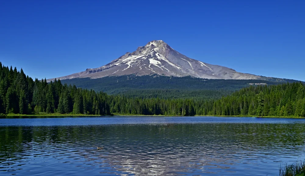 How to Sell Land Online in Oregon land guide