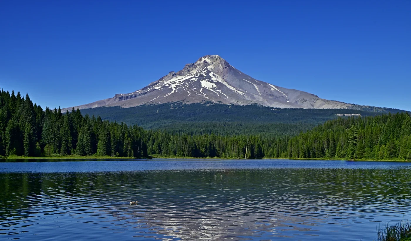 Salem Oregon land