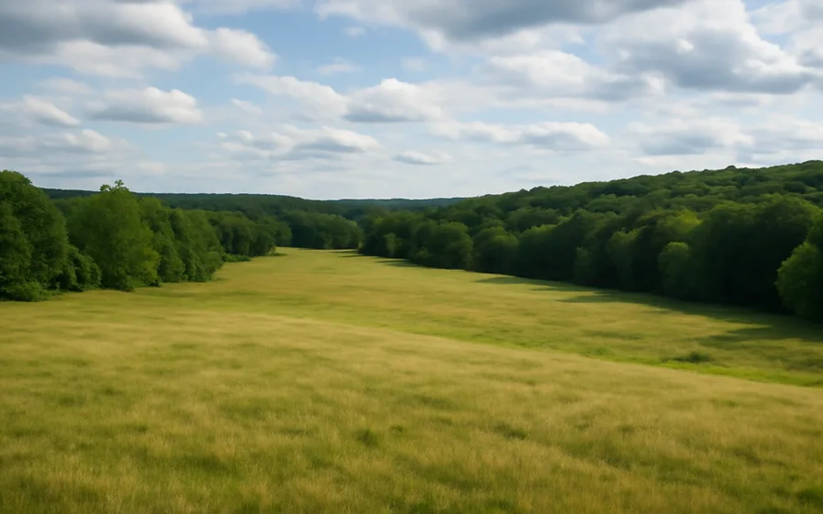 Rural acreage in Gresham